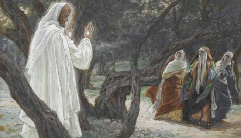 As aparições de Jesus após sua morte não poderiam ter sido alucinações?