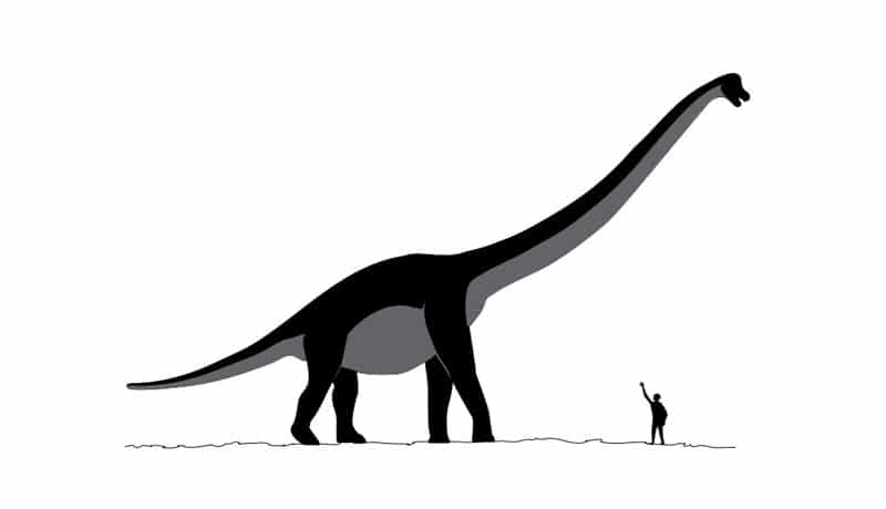 Dinossauros e humanos viveram juntos? Existem evidências disso?