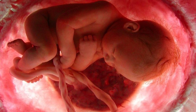 A primeira respiração do bebê é irredutivelmente complexa